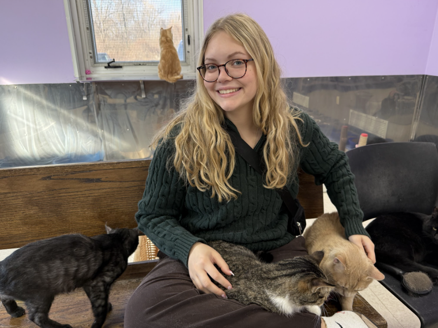 Volunteering at QCPAWS